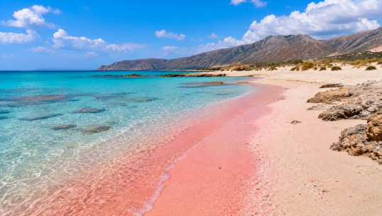 pink resorts 2.png