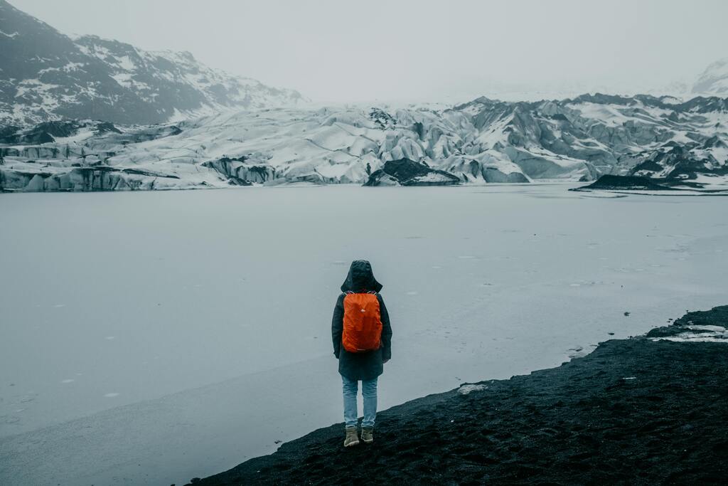 pexels-julia-volk-5111044.jpg