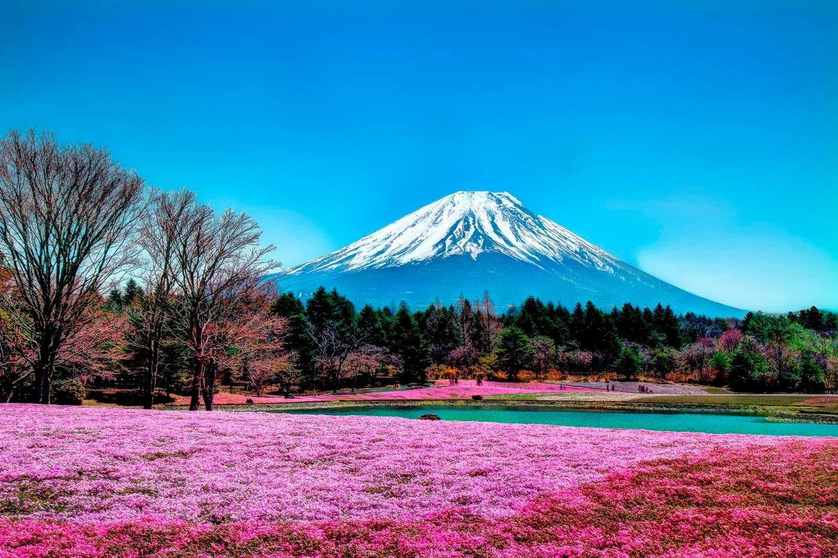 scale_1200 (1)-1.webp