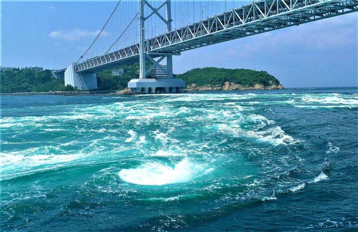 scale_1200 (2).webp